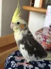 Profile picture for user レンちゃん