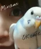 Profile picture for user minamii