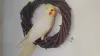 Profile picture for user はなかの