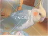 Profile picture for user amiru1227
