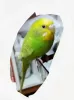 Profile picture for user kb