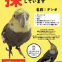 迷子鳥の画像