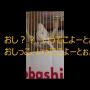 Embedded thumbnail for おしゃべり上手のセイキセイインコ－ピコ太郎？