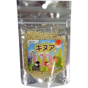 自然派 キヌア